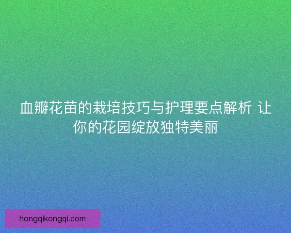 血瓣花苗的栽培技巧与护理要点解析 让你的花园绽放独特美丽